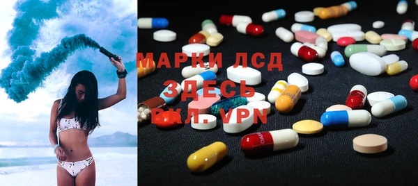 спиды Нефтекумск