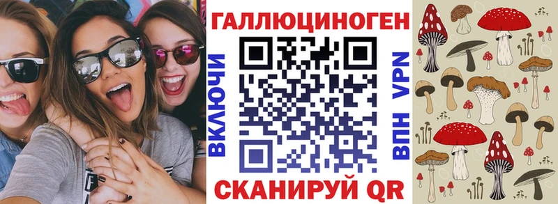 Псилоцибиновые грибы MAGIC MUSHROOMS  ссылка на мегу вход  Краснодар 